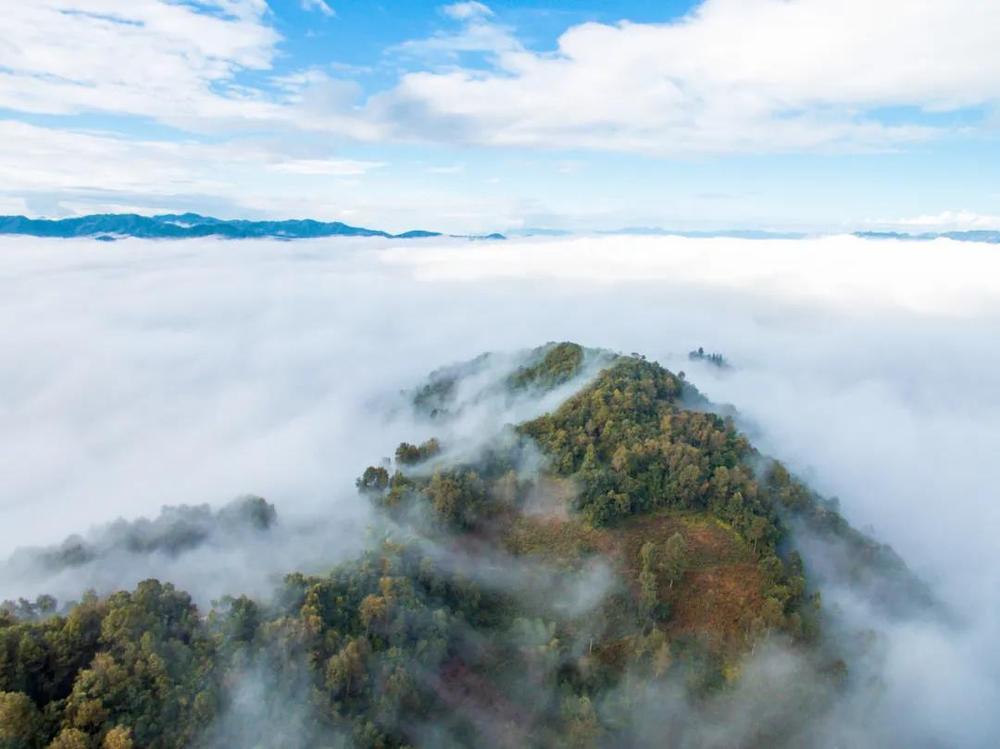 凤庆茶山云海 摄影:胡营中