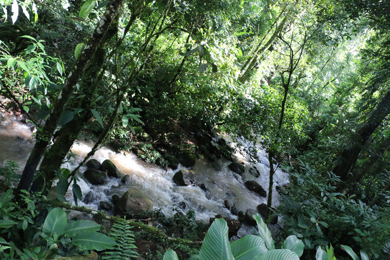 穿越老挝原始热带雨林身心共享自然之美